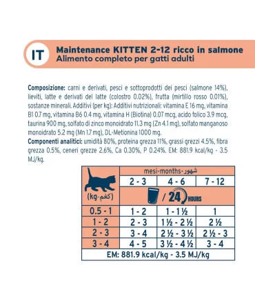 Forza 10 gatto botanicat kitten 2-12 mesi salmone bustina 80 gr