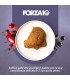 Forza 10 gatto botanicat adult 1-6 anni salmone busatina 80 gr