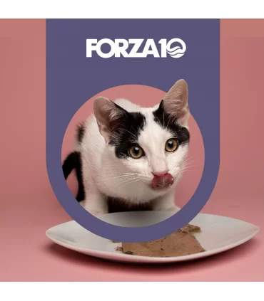 Forza 10 gatto botanicat kitten 2-12 mesi coniglio bustina 80 gr