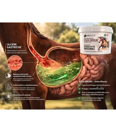 Miraclay equilibrium 2 kg