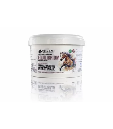 Miraclay equilibrium 2 kg