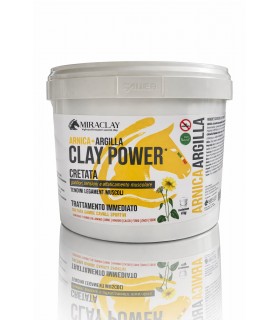 Miraclay arnica argilla clay power 4 kg