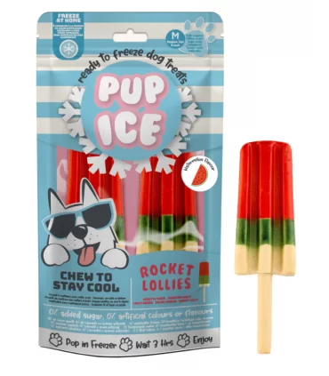 Pup ice rocket lollies anguria 2 pezzi 90 gr