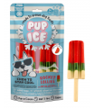 Pup ice rocket lollies anguria 2 pezzi 90 gr