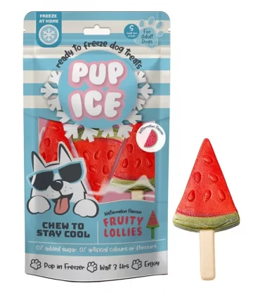 Pup ice fruity lollies anguria 3 pezzi 90 gr