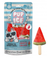 Pup ice fruity lollies anguria 3 pezzi 90 gr