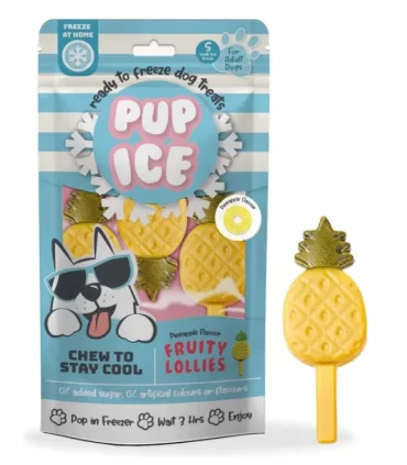 Pup ice fruity lollies ananas 3 pezzi 90 gr