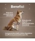 Forza 10 cane intestinal colon agnello 390 gr