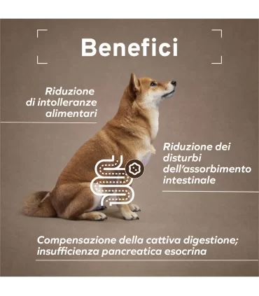 Forza 10 cane intestinal colon agnello 390 gr