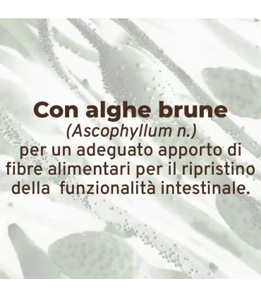 Forza 10 cane intestinal colon agnello 390 gr
