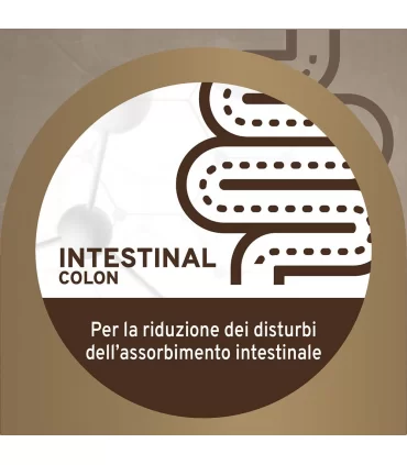 Forza 10 cane intestinal colon pesce 390 gr