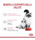 Royal Canin gatto Mother & Babycat mousse 195 gr