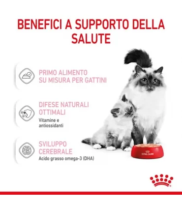 Royal Canin gatto Mother & Babycat mousse 195 gr