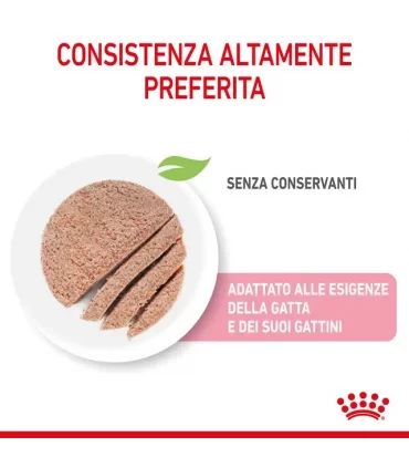 Royal Canin gatto Mother & Babycat mousse 195 gr