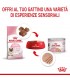 Royal Canin gatto Mother & Babycat mousse 195 gr