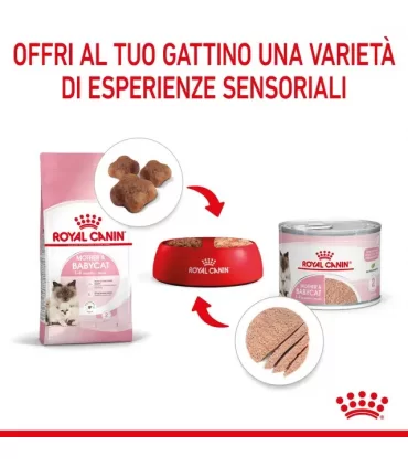 Royal Canin gatto Mother & Babycat mousse 195 gr