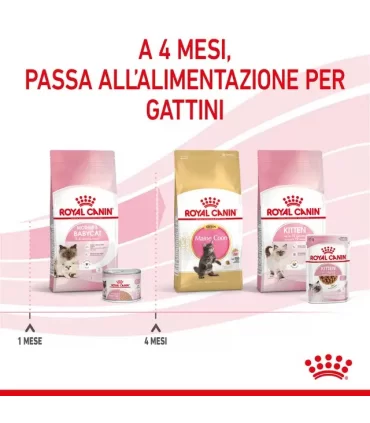 Royal Canin gatto Mother & Babycat mousse 195 gr