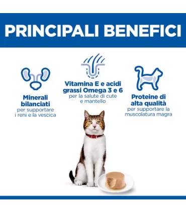 Hill's Science Plan gatto mature adult 7+ mousse pollo 85 gr