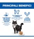 Hill's Science Plan gatto sterilised mature adult 7+ mousse pollo 85 gr