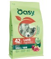 Oasy original formula cane adult small mini agnello 2 kg