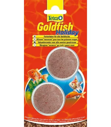 Tetra goldfish holiday