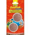 Tetra goldfish holiday