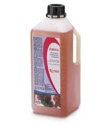 ZANCO SHAMPOO 2 LT