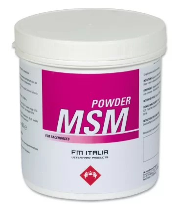 Fm italia powder msm 600 gr