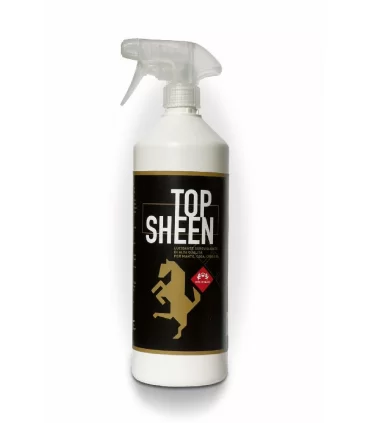 Fm italia top sheen 1 lt