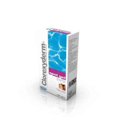 CLOREXYDERM SPOT GEL 100 ML