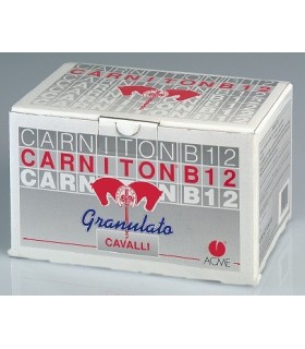 CARNITON B12 20 BS 25 GR CAVALLI