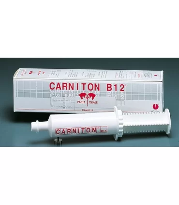 CARNITON B12 PASTA OS 1 SIR.CAVALLI