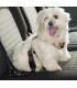 Cintura di sicurezza per cani DOG SAFETY BELT