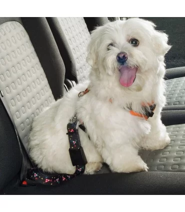 Cintura di sicurezza per cani DOG SAFETY BELT