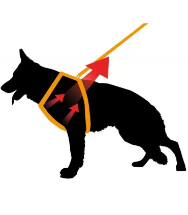 Ferplast ergocomfort P XS blu pettorina