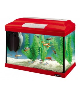 CAYMAN 40 COLOURS