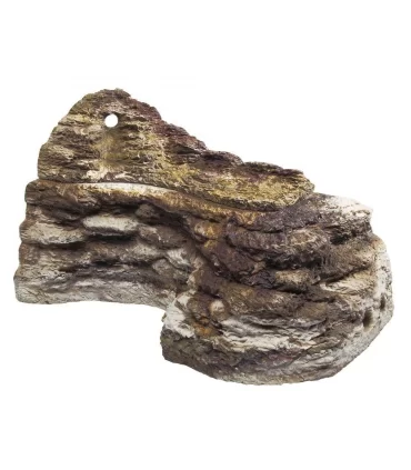 DOVER 11 ROCCIA TARTARUGHIERE