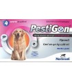 Pestigon spoton 4 pipette 268 mg cani grandi