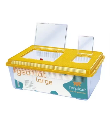 GEO FLAT LARGE ACQUARIO