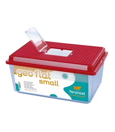 GEO FLAT SMALL ACQUARIO