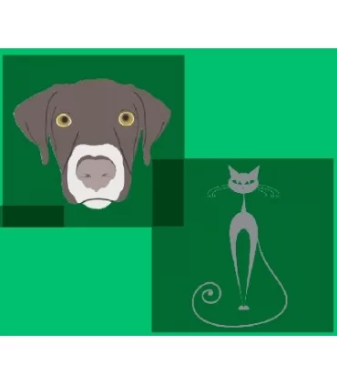 DEAKOS XEREM VET SPRAY 50 ML