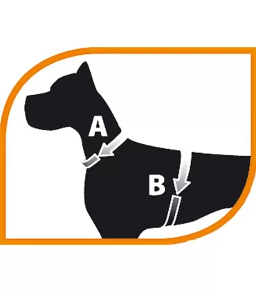 Ferplast Jogging small pettorina con guinzaglio