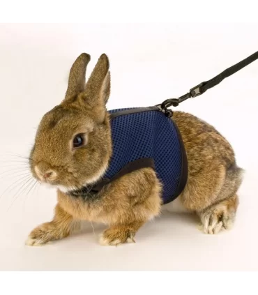 Ferplast Jogging xl pettorina con guinzaglio