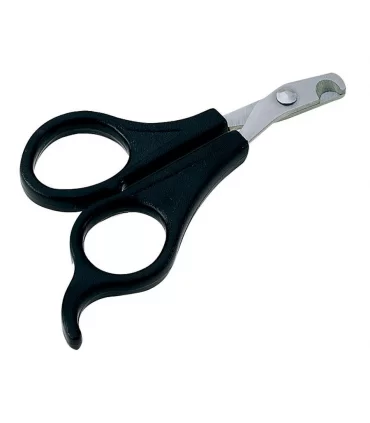 GRO 5984 TAGLIAUNG.PIC.ANIMALI