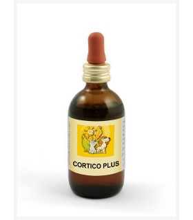 Apa-ct cortico plus 50 ml