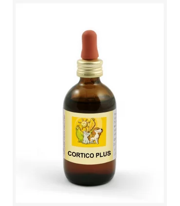 Apa-ct cortico plus 50 ml