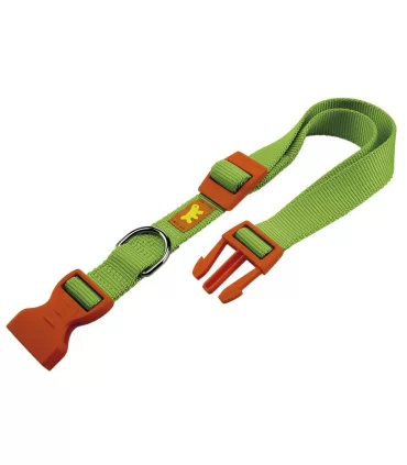 Ferplast club C20/56 colore verde