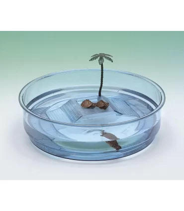 OASI AZZURRA TARTARUGHIERA