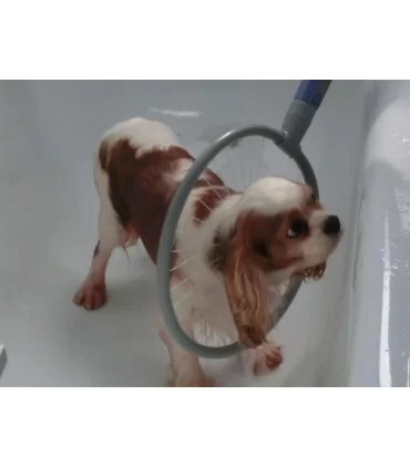 Comfort wash 360 taglia m