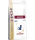 Royal canin hepatic gatto 2 kg